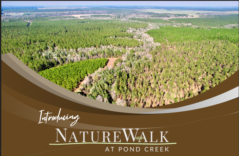 NatureWalk at Pond Creek, Pace, FL